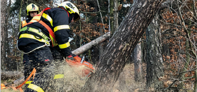 Force d'intervention : Pompiers, Police, Sécurité civile